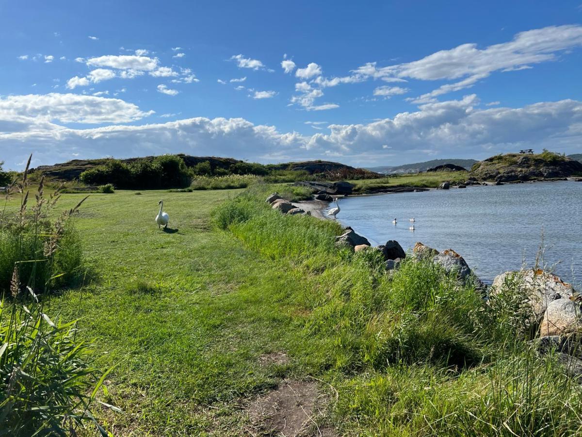 Ny Leilighet I Nevlunghavn Larvik Luaran gambar