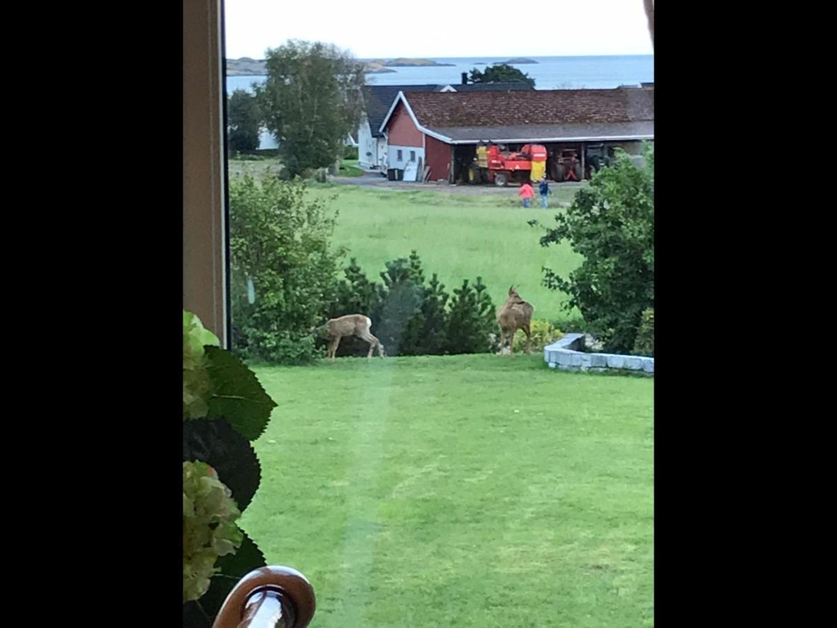Ny Leilighet I Nevlunghavn Larvik Luaran gambar