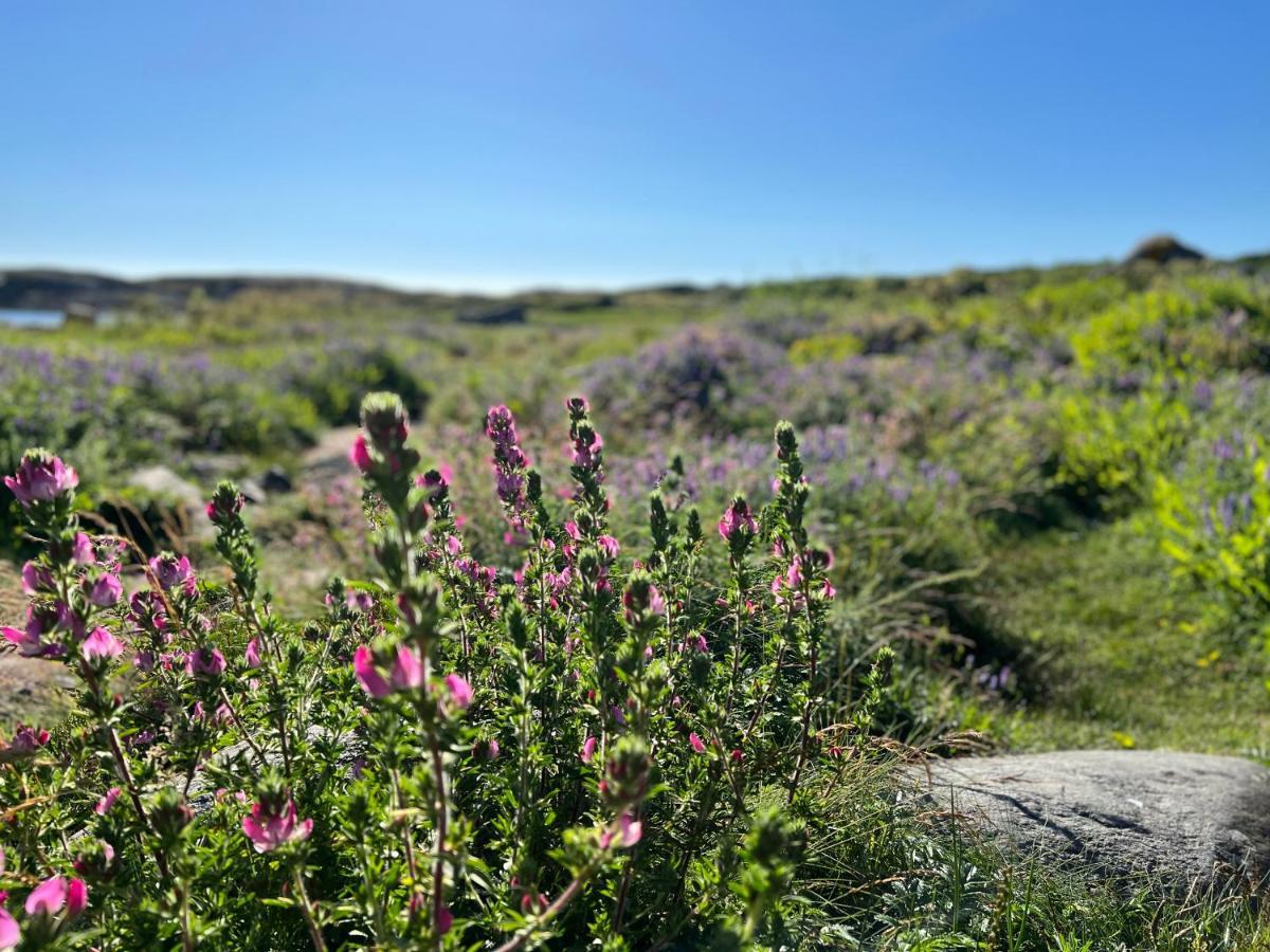 Ny Leilighet I Nevlunghavn Larvik Luaran gambar