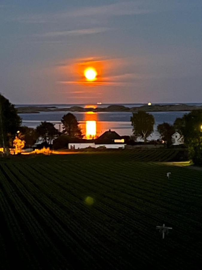 Ny Leilighet I Nevlunghavn Larvik Luaran gambar