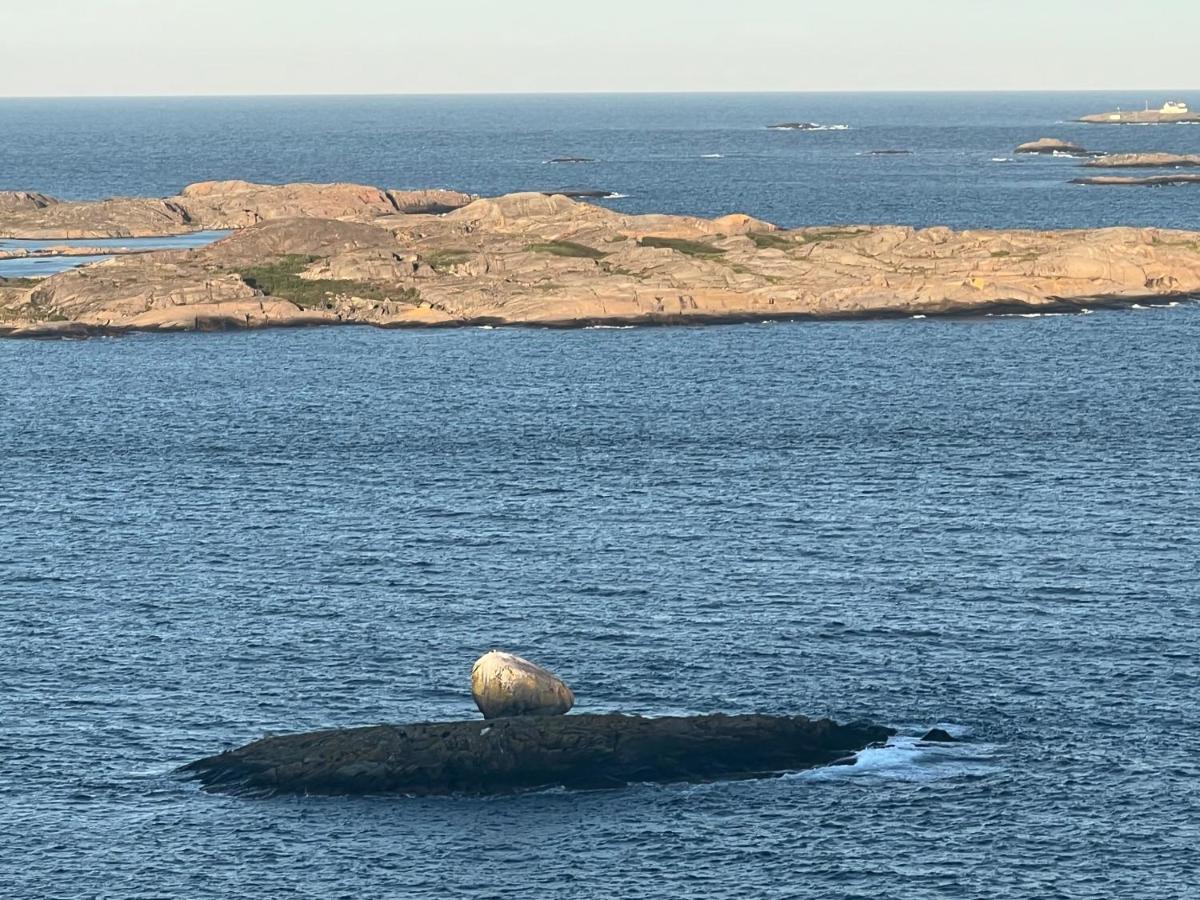Ny Leilighet I Nevlunghavn Larvik Luaran gambar